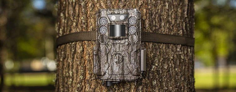 Wildkamera als Fotofalle an Baum gebunden