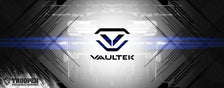 Vaultek Safe