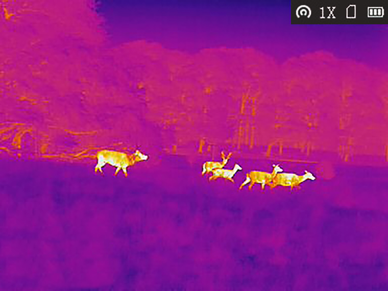 Termocamera digitale TAIPAN TM15-384