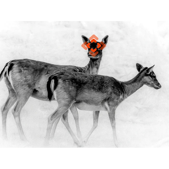 Jumelles multispectrales Binox-6 Dual 256x192, 6-48, 4 en 1 avec télémètre laser