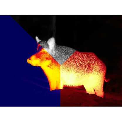 Jumelles multispectrales Binox-6 Dual 256x192, 6-48, 4 en 1 avec télémètre laser