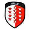 Distintivo in velcro stemma cantonale Vallese